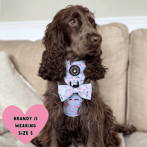 Trail & Glow® Dog Harness Bundle Set - Flamingo Fling - Bailey and Coco (UK)