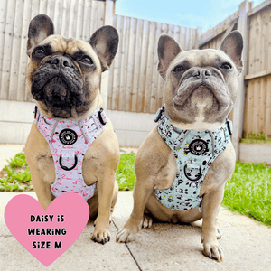 Trail & Glow® Dog Harness Bundle Set - Flamingo Fling - Bailey and Coco (UK)