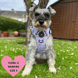 Trail & Glow® Dog Harness Bundle Set - Flamingo Fling - Bailey and Coco (UK)