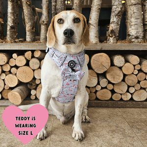 Trail & Glow® Dog Harness Bundle Set - Flamingo Fling - Bailey and Coco (UK)