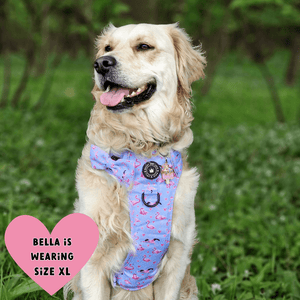 Trail & Glow® Dog Harness Bundle Set - Flamingo Fling - Bailey and Coco (UK)