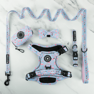 Trail & Glow® Dog Harness Bundle Set - Flamingo Fling - Bailey and Coco (UK)