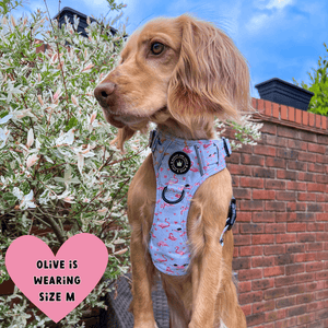 Trail & Glow® Dog Harness Bundle Set - Flamingo Fling - Bailey and Coco (UK)