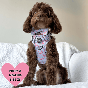 Trail & Glow® Dog Harness Bundle Set - Flamingo Fling - Bailey and Coco (UK)