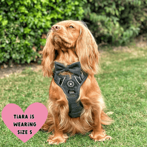 Trail & Glow® Dog Harness Bundle Set - Forest Tweed - Bailey and Coco (UK)