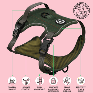 Trail & Glow® Dog Harness Bundle Set - Forest Tweed - Bailey and Coco (UK)