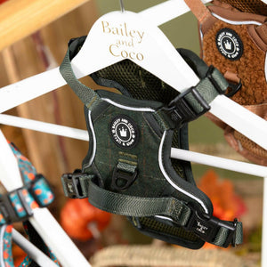 Trail & Glow® Dog Harness Bundle Set - Forest Tweed - Bailey and Coco (UK)