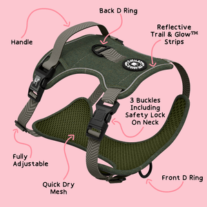 Trail & Glow® Dog Harness Bundle Set - Forest Tweed - Bailey and Coco (UK)