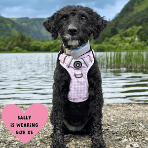 Trail & Glow® Dog Harness Bundle Set - Gingham Dreams - Bailey and Coco (UK)