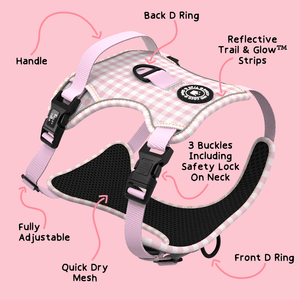 Trail & Glow® Dog Harness Bundle Set - Gingham Dreams - Bailey and Coco (UK)