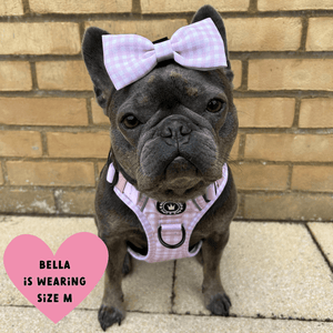 Trail & Glow® Dog Harness Bundle Set - Gingham Dreams - Bailey and Coco (UK)