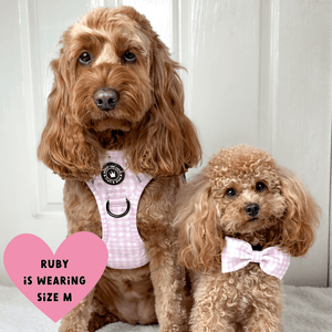 Trail & Glow® Dog Harness Bundle Set - Gingham Dreams - Bailey and Coco (UK)