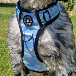 Trail & Glow® Dog Harness Bundle Set - Ocean Breeze - Bailey and Coco (UK)