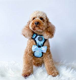 Trail & Glow® Dog Harness Bundle Set - Ocean Breeze - Bailey and Coco (UK)