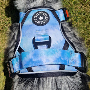 Trail & Glow® Dog Harness Bundle Set - Ocean Breeze - Bailey and Coco (UK)