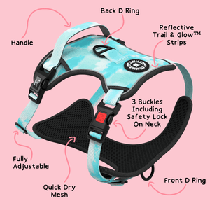 Trail & Glow® Dog Harness Bundle Set - Ocean Breeze - Bailey and Coco (UK)