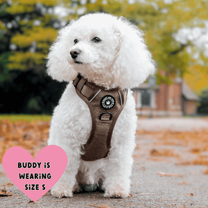 Trail & Glow® Dog Harness Bundle Set - Oxford Tweed - Bailey and Coco (UK)