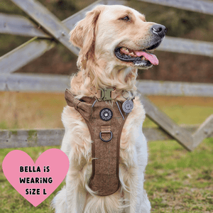 Trail & Glow® Dog Harness Bundle Set - Oxford Tweed - Bailey and Coco (UK)