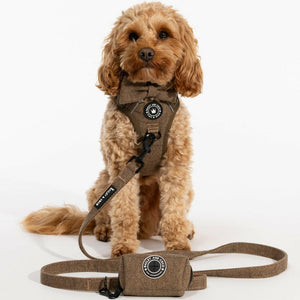 Trail & Glow® Dog Harness Bundle Set - Oxford Tweed - Bailey and Coco (UK)