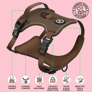 Trail & Glow® Dog Harness Bundle Set - Oxford Tweed - Bailey and Coco (UK)