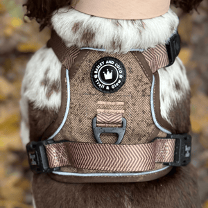 Trail & Glow® Dog Harness Bundle Set - Oxford Tweed - Bailey and Coco (UK)