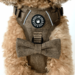 Trail & Glow® Dog Harness Bundle Set - Oxford Tweed - Bailey and Coco (UK)