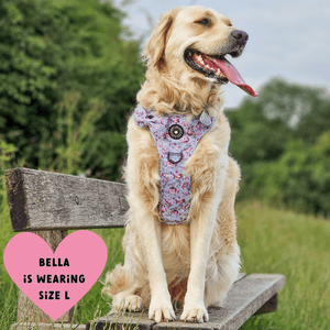 Trail & Glow® Dog Harness Bundle Set - Peony Blossom - Bailey and Coco (UK)