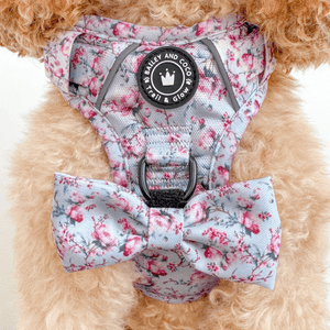 Trail & Glow® Dog Harness Bundle Set - Peony Blossom - Bailey and Coco (UK)