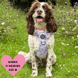 Trail & Glow® Dog Harness Bundle Set - Peony Blossom - Bailey and Coco (UK)