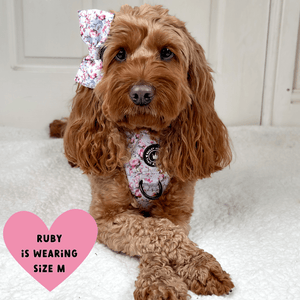 Trail & Glow® Dog Harness Bundle Set - Peony Blossom - Bailey and Coco (UK)