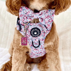 Trail & Glow® Dog Harness Bundle Set - Peony Blossom - Bailey and Coco (UK)