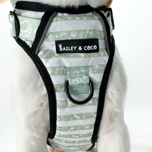 Trail & Glow® Dog Harness Bundle Set - Peppermint Paws - Bailey and Coco (UK)