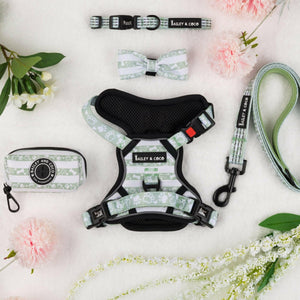 Trail & Glow® Dog Harness Bundle Set - Peppermint Paws - Bailey and Coco (UK)