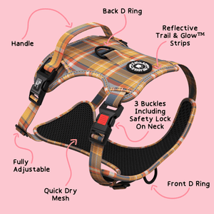 Trail & Glow® Dog Harness Bundle Set - Rustic Tartan - Bailey and Coco (UK)