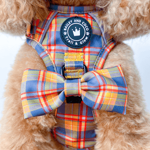 Trail & Glow® Dog Harness Bundle Set - Rustic Tartan - Bailey and Coco (UK)