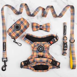 Trail & Glow® Dog Harness Bundle Set - Rustic Tartan - Bailey and Coco (UK)