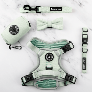 Trail & Glow® Dog Harness Bundle Set - Sage Tweed - Bailey and Coco (UK)