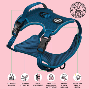 Trail & Glow® Dog Harness Bundle Set - Sapphire Tweed - Bailey and Coco (UK)