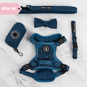 Trail & Glow® Dog Harness Bundle Set - Sapphire Tweed - Bailey and Coco (UK)