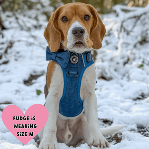 Trail & Glow® Dog Harness Bundle Set - Sapphire Tweed - Bailey and Coco (UK)