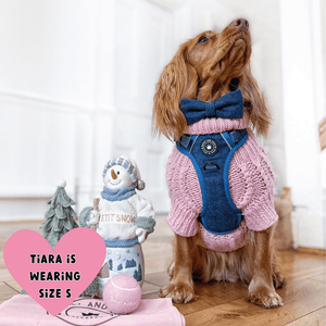 Trail & Glow® Dog Harness Bundle Set - Sapphire Tweed - Bailey and Coco (UK)