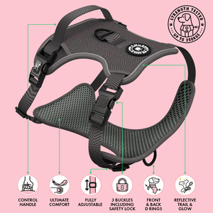 Trail & Glow® Dog Harness Bundle Set - Slate Tweed - Bailey and Coco (UK)