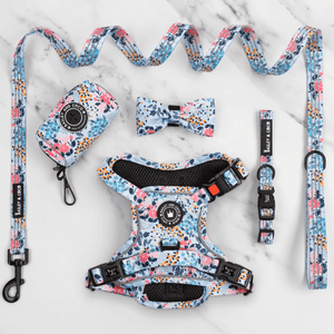 Trail & Glow® Dog Harness Bundle Set - Spring Dreams - Bailey and Coco (UK)