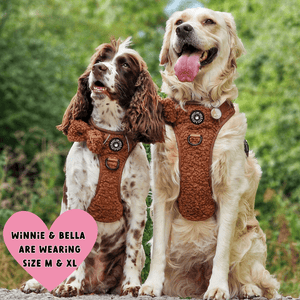 Trail & Glow® Dog Harness Bundle Set - Teddy Bear - Bailey and Coco (UK)