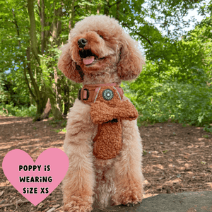 Trail & Glow® Dog Harness Bundle Set - Teddy Bear - Bailey and Coco (UK)