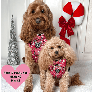 Trail & Glow® Dog Harness Bundle Set - Winter Wonderland - Bailey and Coco (UK)