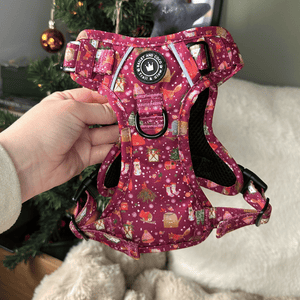 Trail & Glow® Dog Harness Bundle Set - Winter Wonderland - Bailey and Coco (UK)