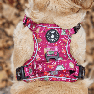 Trail & Glow® Dog Harness Bundle Set - Winter Wonderland - Bailey and Coco (UK)