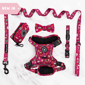 Trail & Glow® Dog Harness Bundle Set - Winter Wonderland - Bailey and Coco (UK)