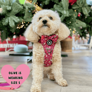 Trail & Glow® Dog Harness Bundle Set - Winter Wonderland - Bailey and Coco (UK)